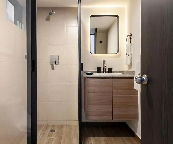 Parque Espana 21 By Wynwood House 3* Mexico City