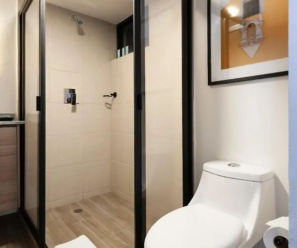 Parque Espana 21 By Wynwood House 3* Mexico City
